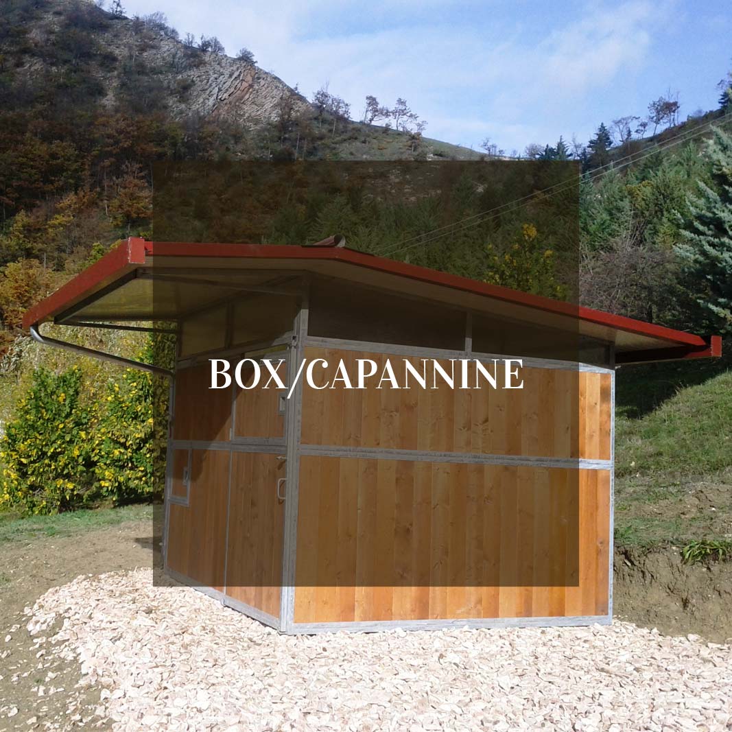 box capannine